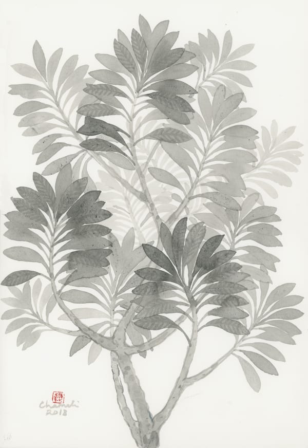 Chameli Ramachandran Untitled, 2018 Chinese ink and watercolour on paper 15" x 11"