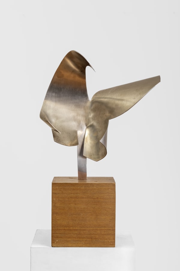 Pigeon Stainless steel repoussé 16.5 x 12 x 6 in