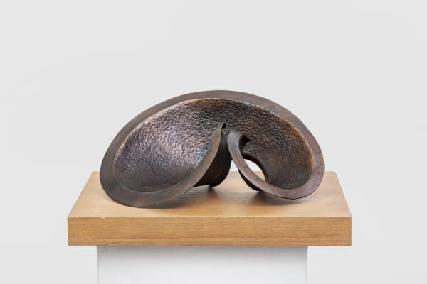 Horizontal Form Bronze repoussé 18.5 x 11.5 x 12 in