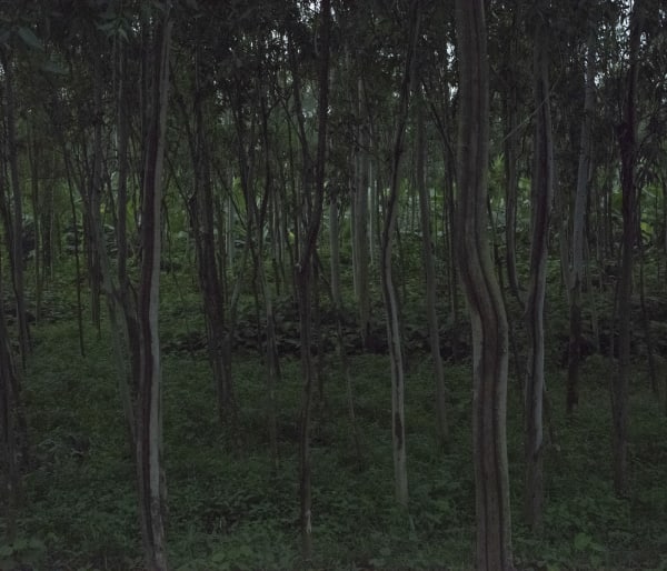 Files of the disappeared Digital print on fine art pearl paper 2022