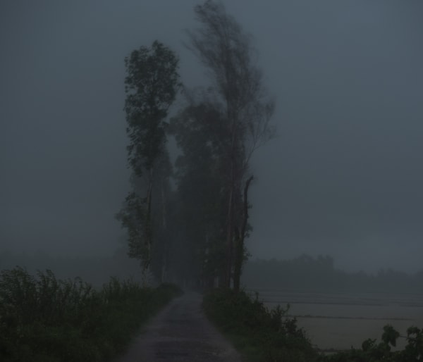 Files of the disappeared Digital print on fine art pearl paper 2022