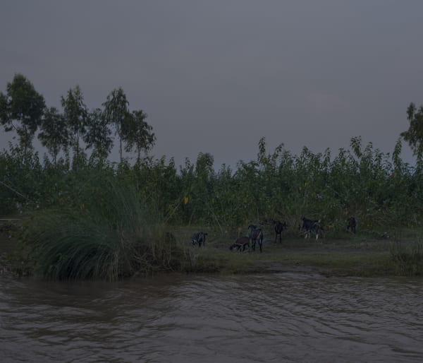 Files of the disappeared Digital print on fine art pearl paper 2022