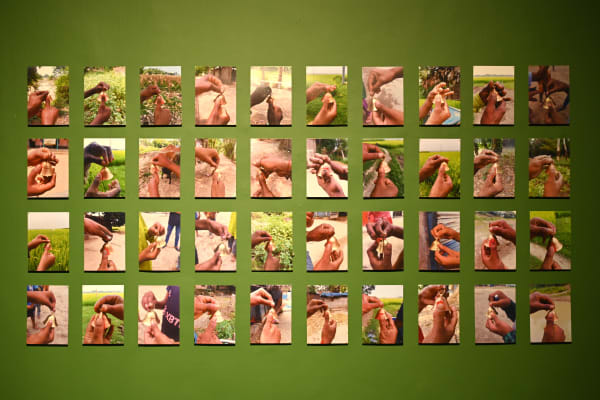 Than Para Series Digital photograph 2025