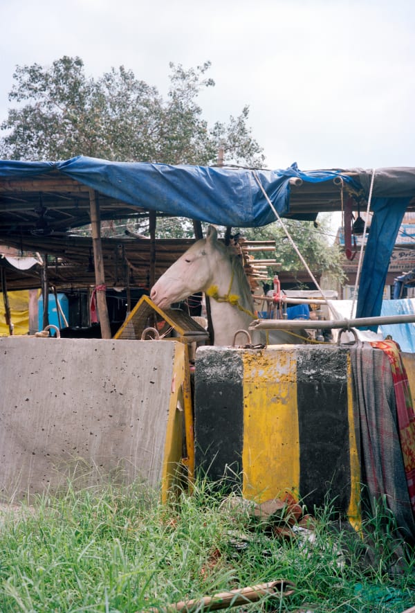 Untitled, (73) from the series The Village on the Highway, 2021 Archival pigment print 24 x 16 in