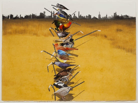 Hema Upadhyay | Extra Ordinary D-53 Defence Colony, New Delhi