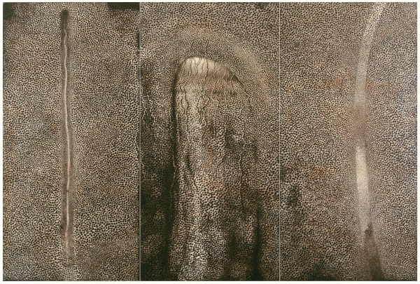 Rameshwar Broota | The Winding Spiral Shridharani Gallery and Vadehra Art Gallery, New Delhi