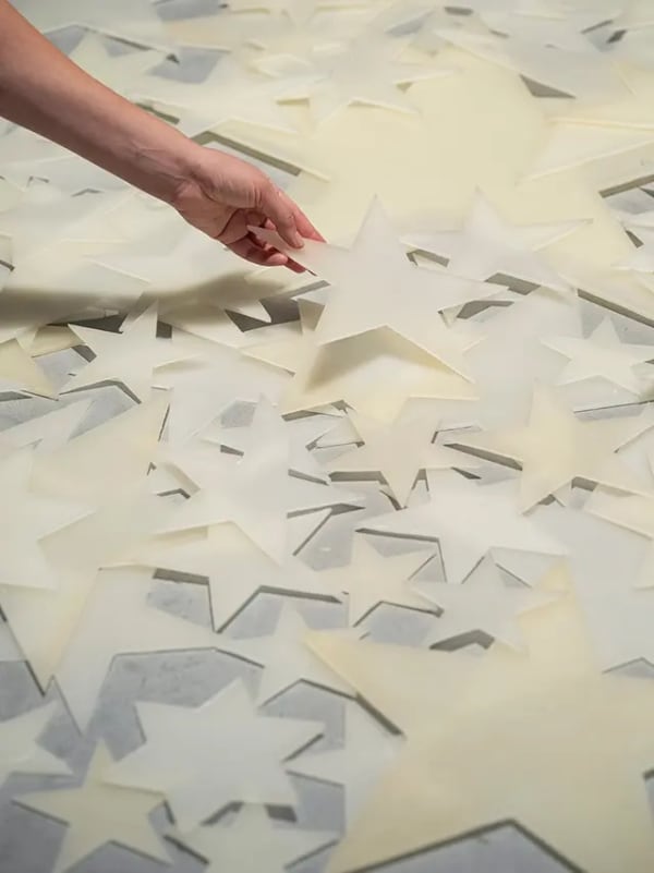 Shilpa Gupta: I did not tell you what I saw, but only what I dreamt