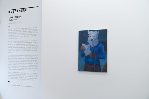 Taha Installation 17