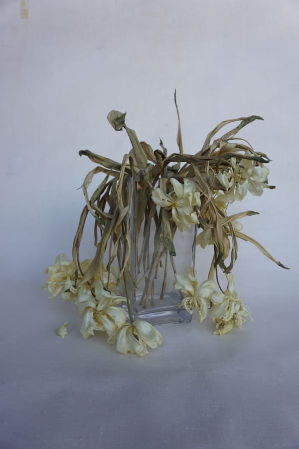 Amy Vogel, White Tulips, 2021