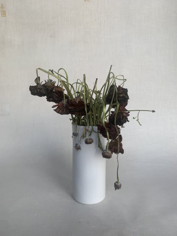 Amy Vogel, Flowers (Dark-red in white vase), 2022
