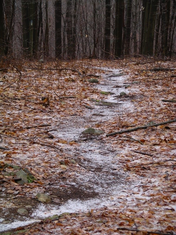 Albers Foundation, April, 2006.