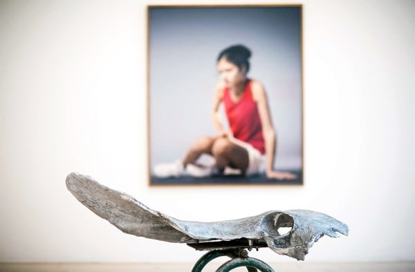 Grade //// Separation