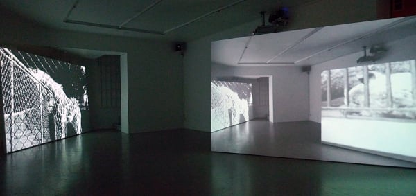 La Verdad Sobre Esta Obra