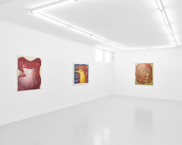 Kroppens landskap Atti Johansson