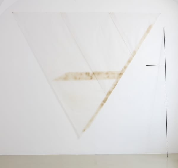 Miguel António Domingues, Big Bird Cut, 2023