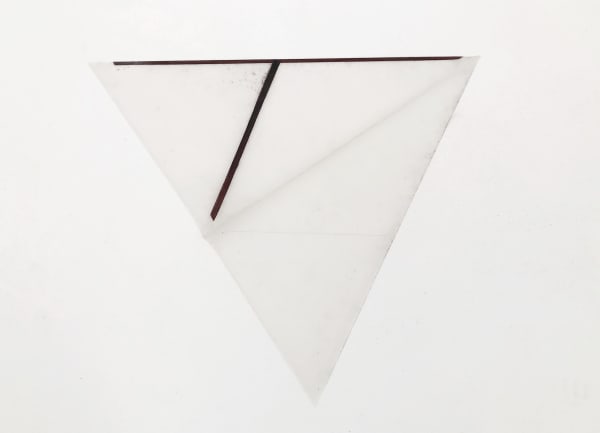 Miguel António Domingues, Little Bird Cut (III), 2023