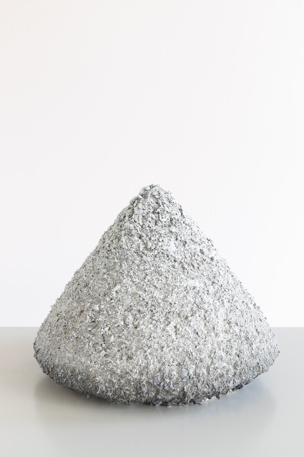 Lode Laperre, Coprolites XX (Ex Apex), 2022