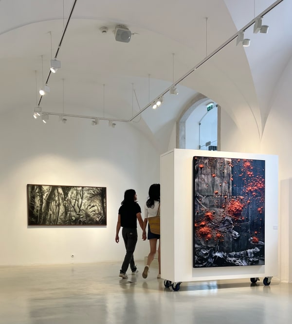 UMBRA NATURAL Cássio Vasconcellos e Daniel Mattar | Curadoria Ângela Berlinde