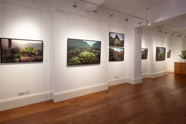 Cca Rr 05 12 2024 18698