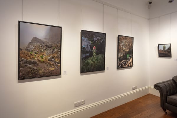 Cca Rr 05 12 2024 18717