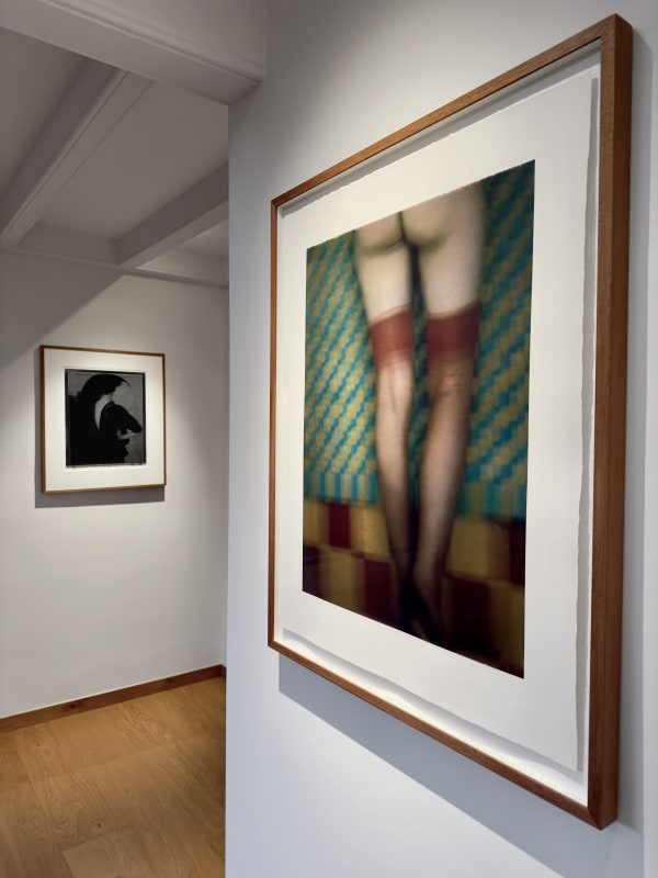 Alta Installation Shot 1 Sarah Moon January 2023