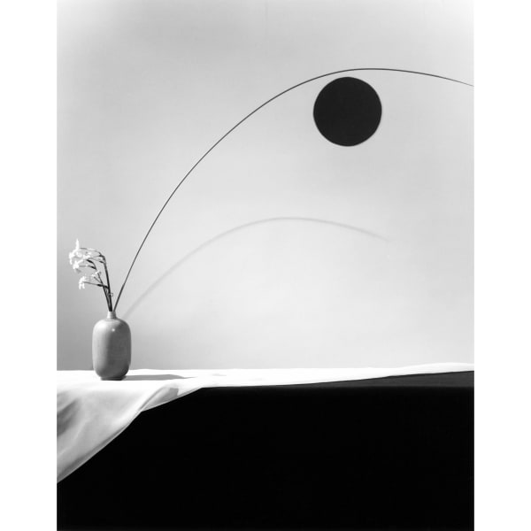 Robert Mapplethorpe, Flower, 1983.