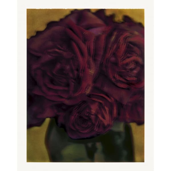 Sarah Moon, Les roses, 1998.