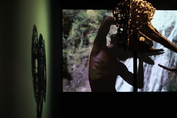 A Forest Of Spirits 27