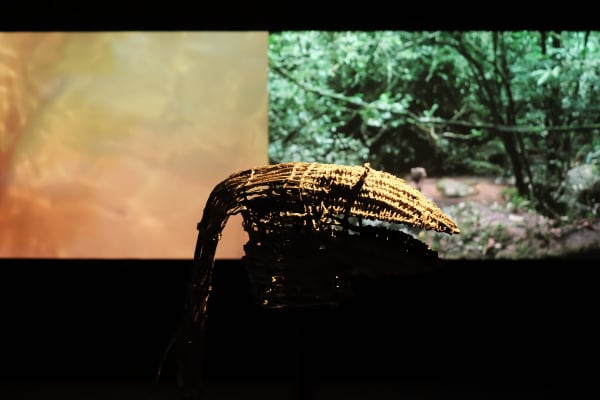 A Forest Of Spirits 45