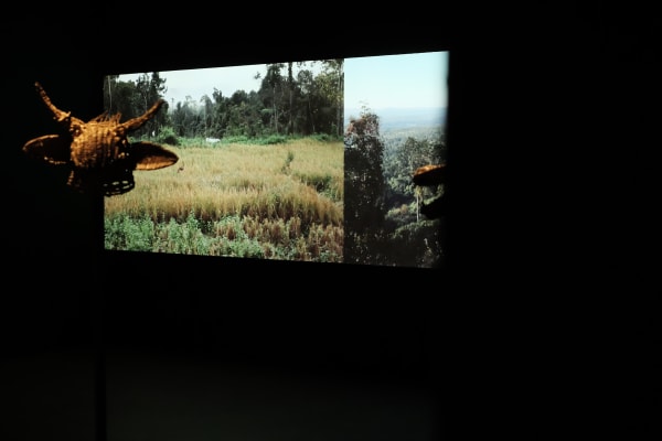 A Forest Of Spirits 60