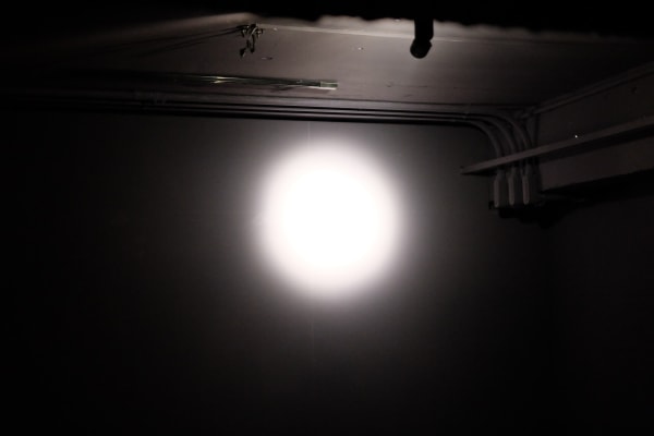 The first day of the exhibition