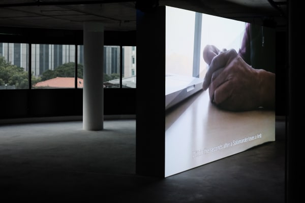 Nova Project Space 15