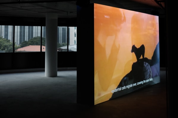 Nova Project Space 16