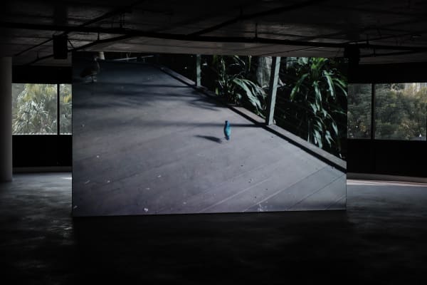 Nova Project Space 24