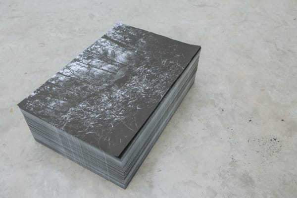 The Echo Of Footsteps 0034