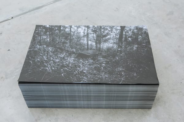 The Echo Of Footsteps 0035