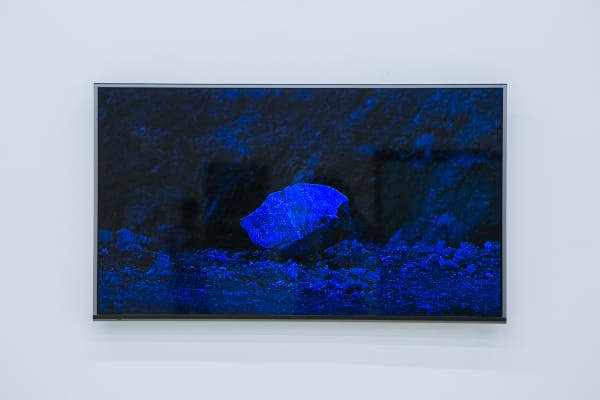 The Echo Of Footsteps 0037