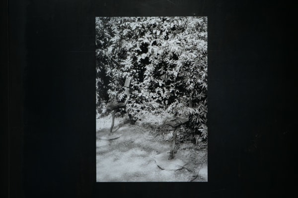 The Echo Of Footsteps 0039