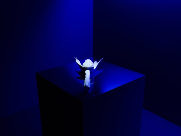 Saroot Supasuthivech - River Kwai: This Memorial Service was Held in the Memory of the Deceased , 2022