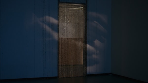 Now Representing Pam Virada