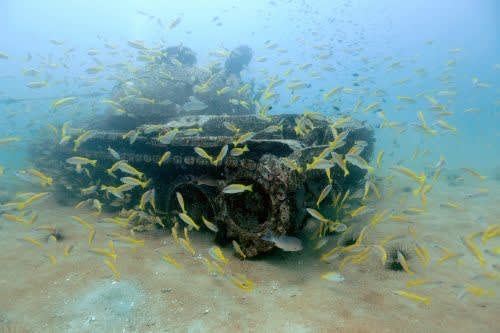 State of Motion: Rushes of Time