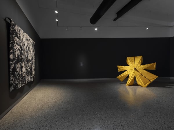 Transfer at UniSC Art Gallery, Sunshine Coast. 16 May to 3 August 2025. Photo: Carl Warner.