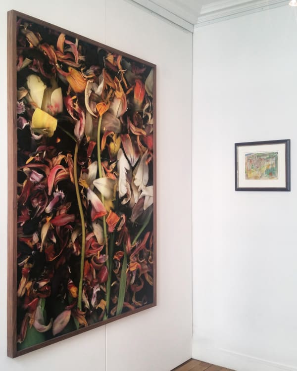 © Samuel Le Paire Fine Art