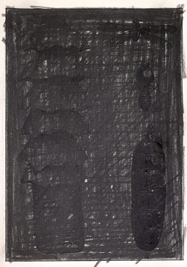 Jan Fabre Insectensculpturen & ervaringen, 1979 Crayon sur papier / Pencil on paper 12,5 x 8,5 cm