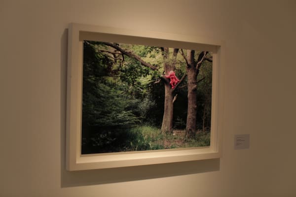 Paul Robinson artworks hanging on the wall