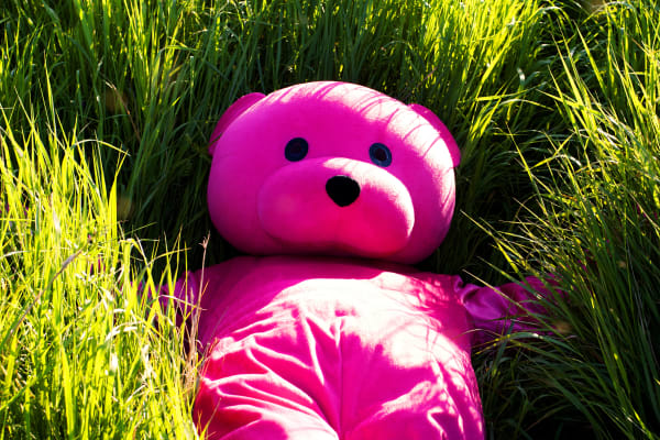 Paul Robinson Lazy bear