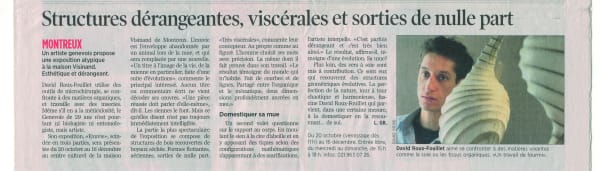 David Roux-Fouillet at Andipa Gallery press clipping
