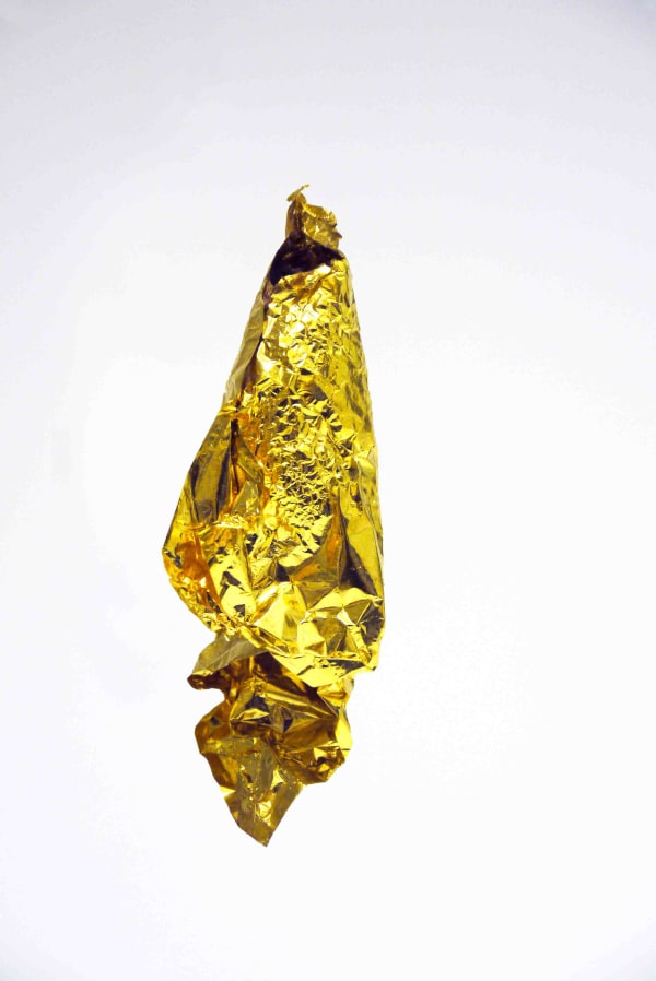 roux-fouillet Golden Leaf 1