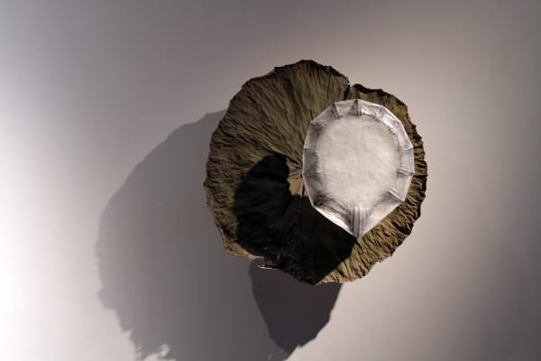 David Roux-Fouillet Installation at Andipa Gallery