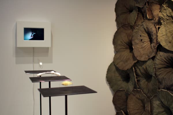 David Roux-Fouillet Installation at Andipa Gallery